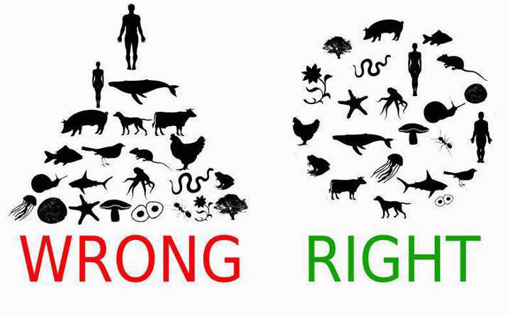 The real life pyramid