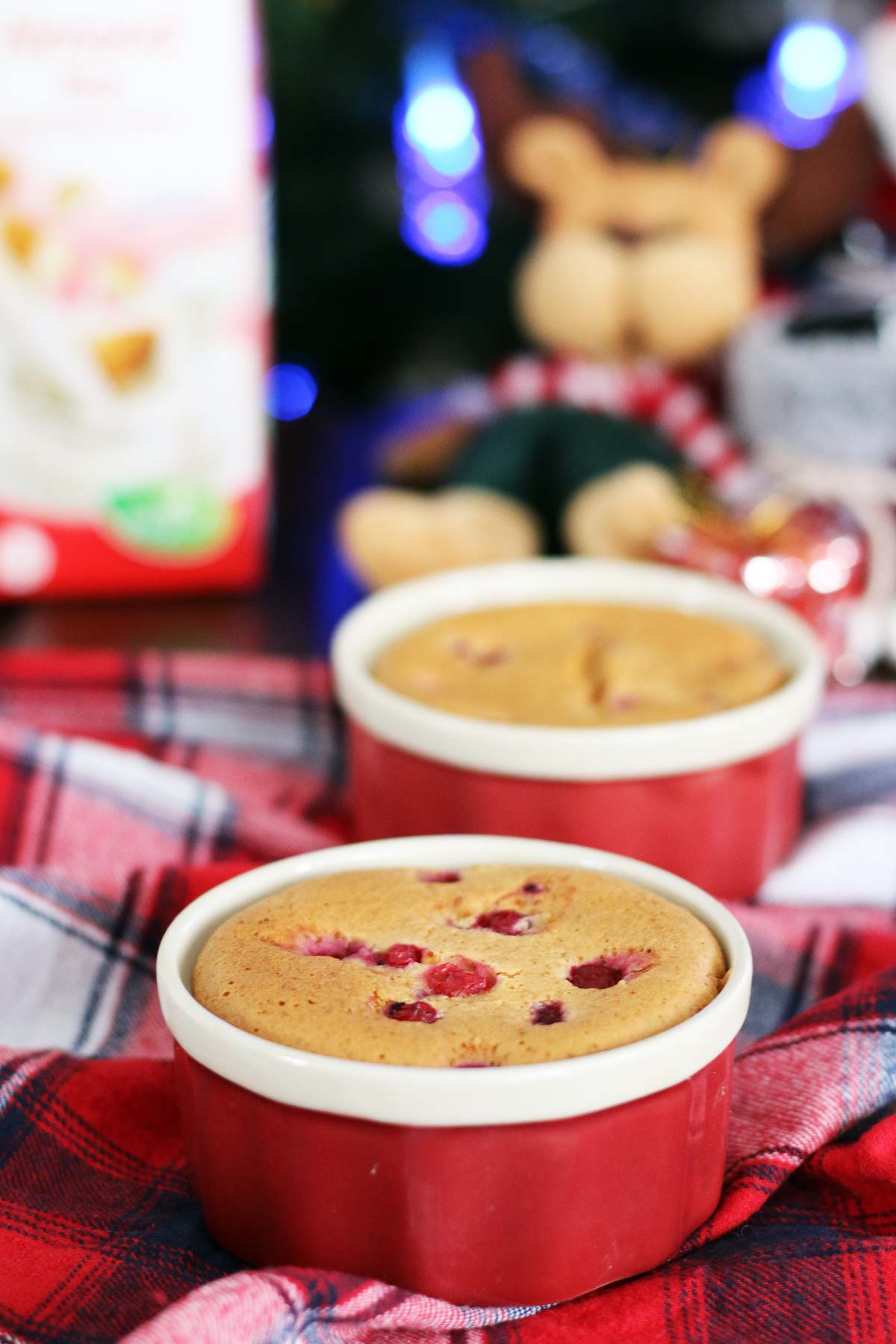 Vegan Sponge Cake with Red Currants chec vegan pufos cu coacaze rosii