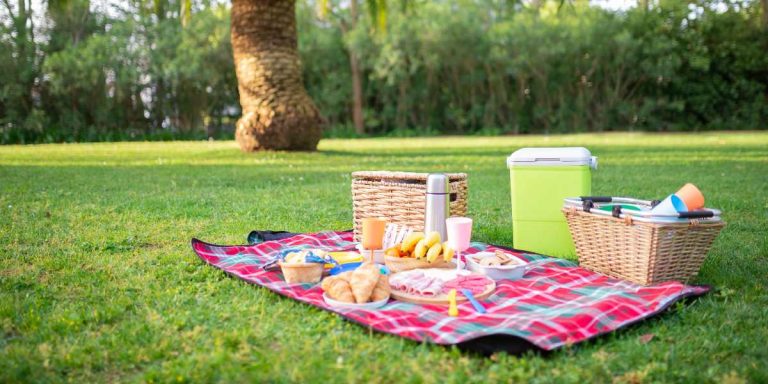 What to Pack for a Plant-Based Picnic in the Park